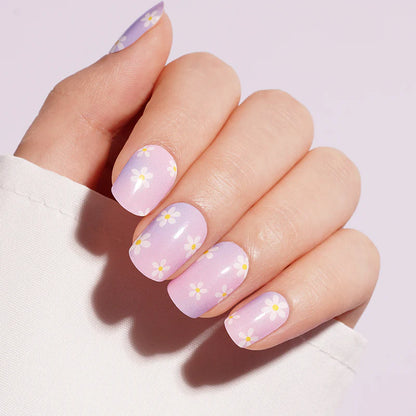 Daisy Dip - Gels
