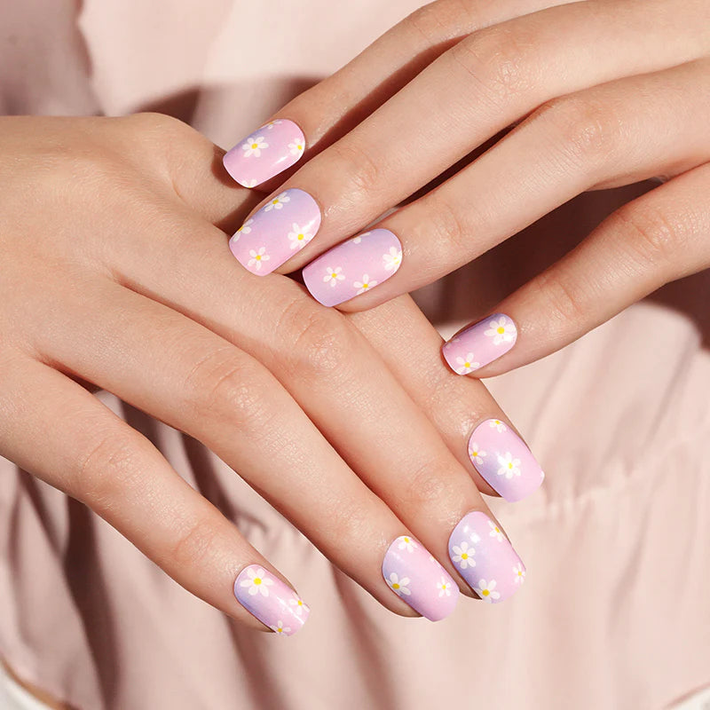 Daisy Dip - Gels
