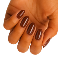 Choc Chip - Holy Classics (Non-UV Nail Wraps)