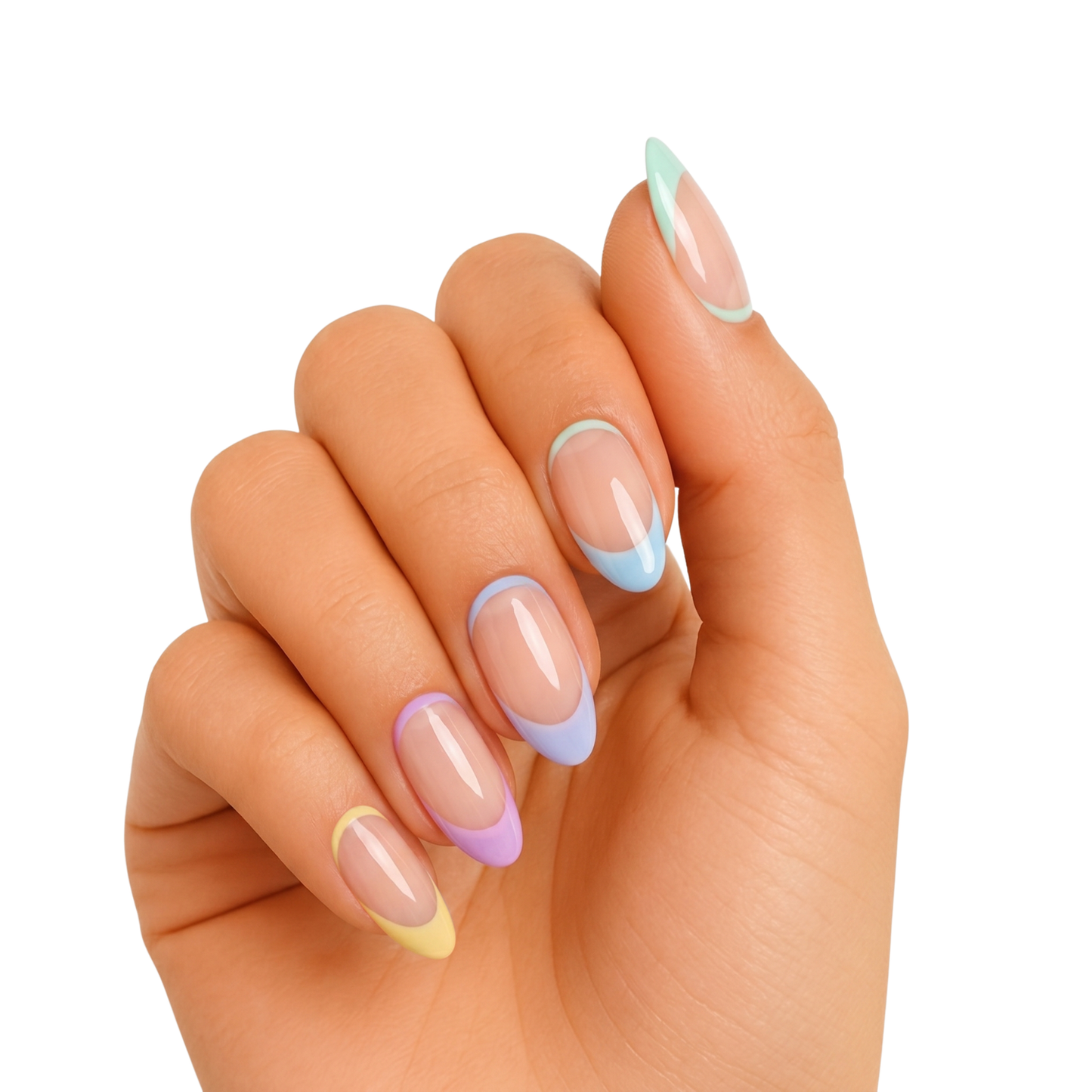 Wild Rainbow - Gels