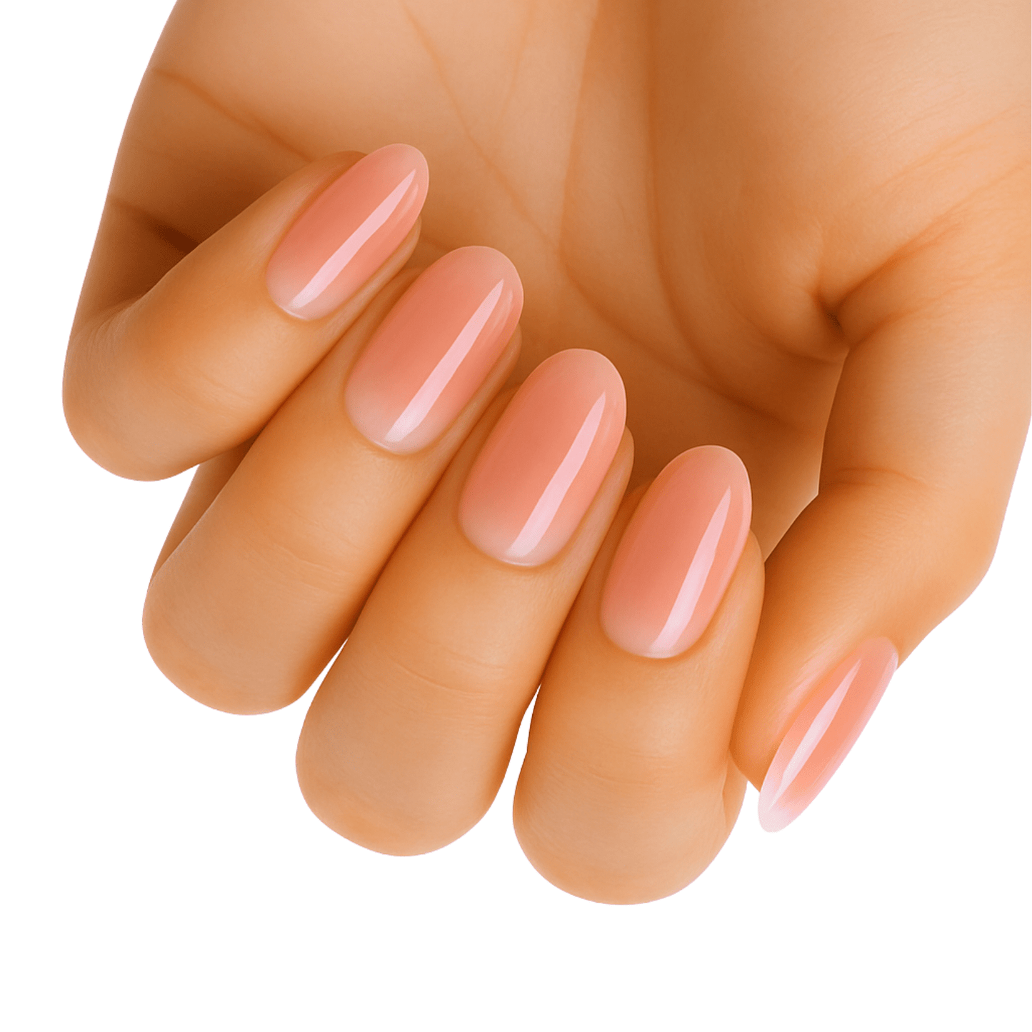 Holy Grail Nail Non-UV Nail Wraps Sunset Afternoon - Holy Classics (Non-UV Nail Wraps)