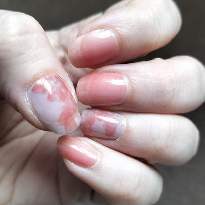 Holy Grail Nail Non-UV Nail Wraps Tuscany (Part Transparent) - Holy Classics (Non-UV Nail Wraps)