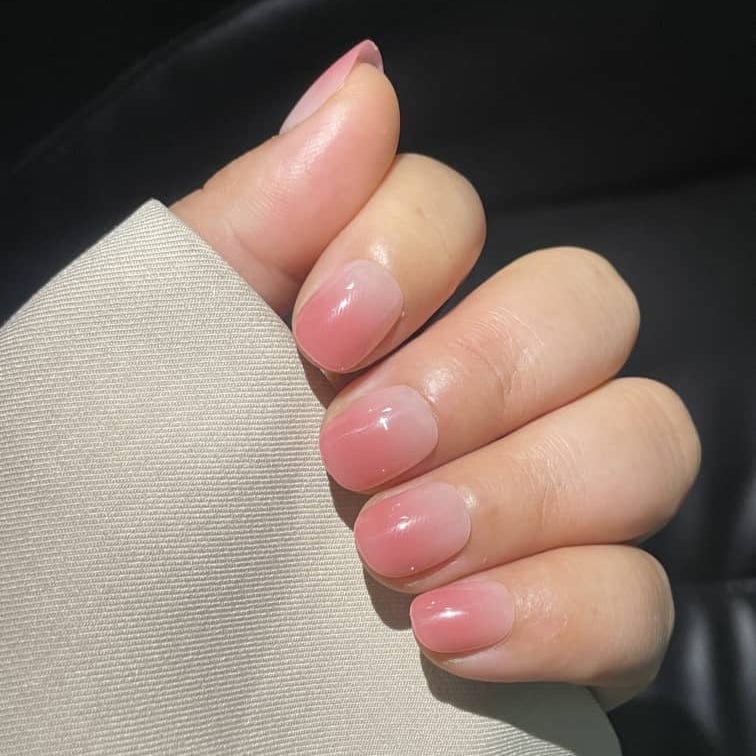 Holy Grail Nail press on Pink Jelly - Soft Gel Press Ons (Extra Short Natural)