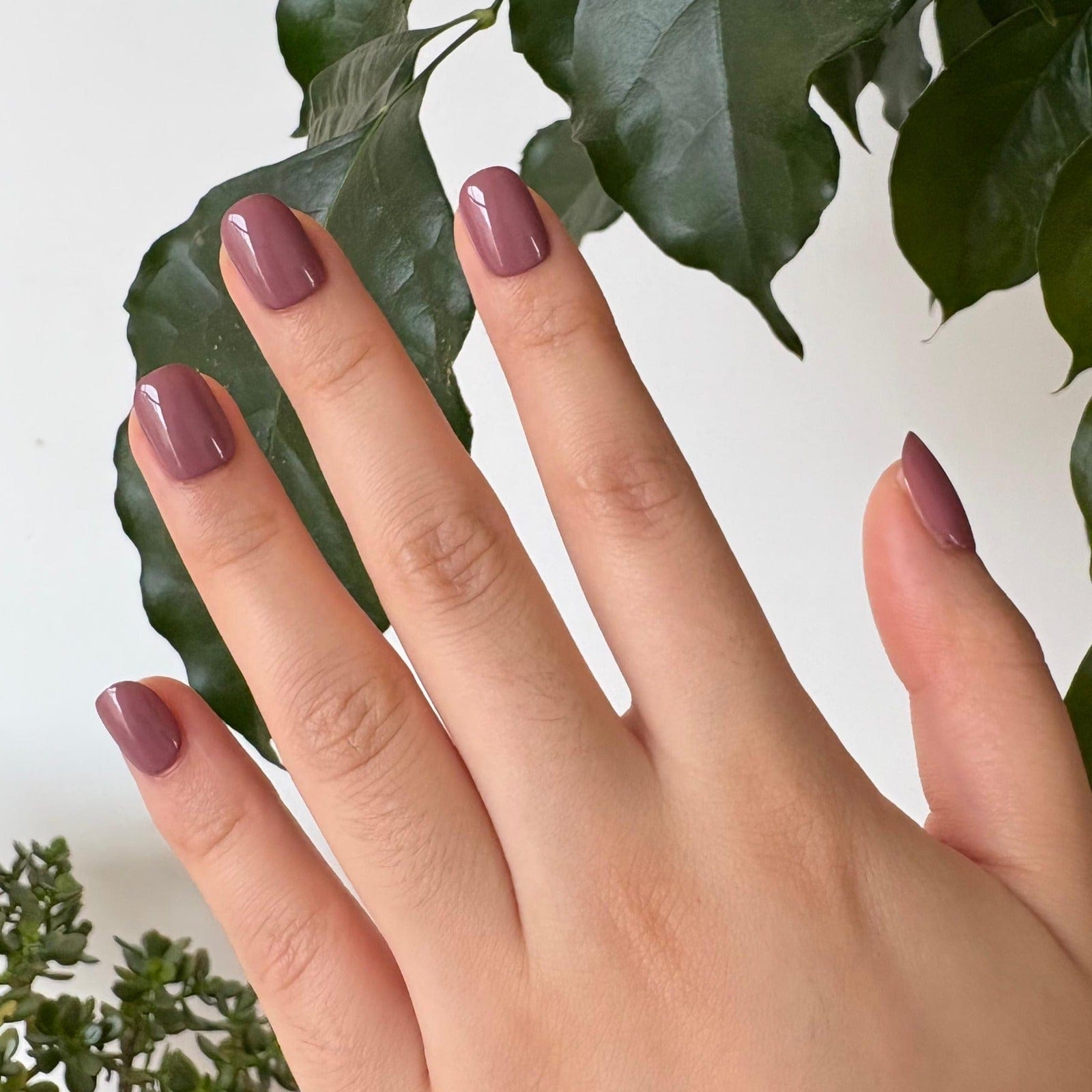 Holy Grail Nail press on Sulking Pink - Soft Gel Press Ons (Extra Short Natural)